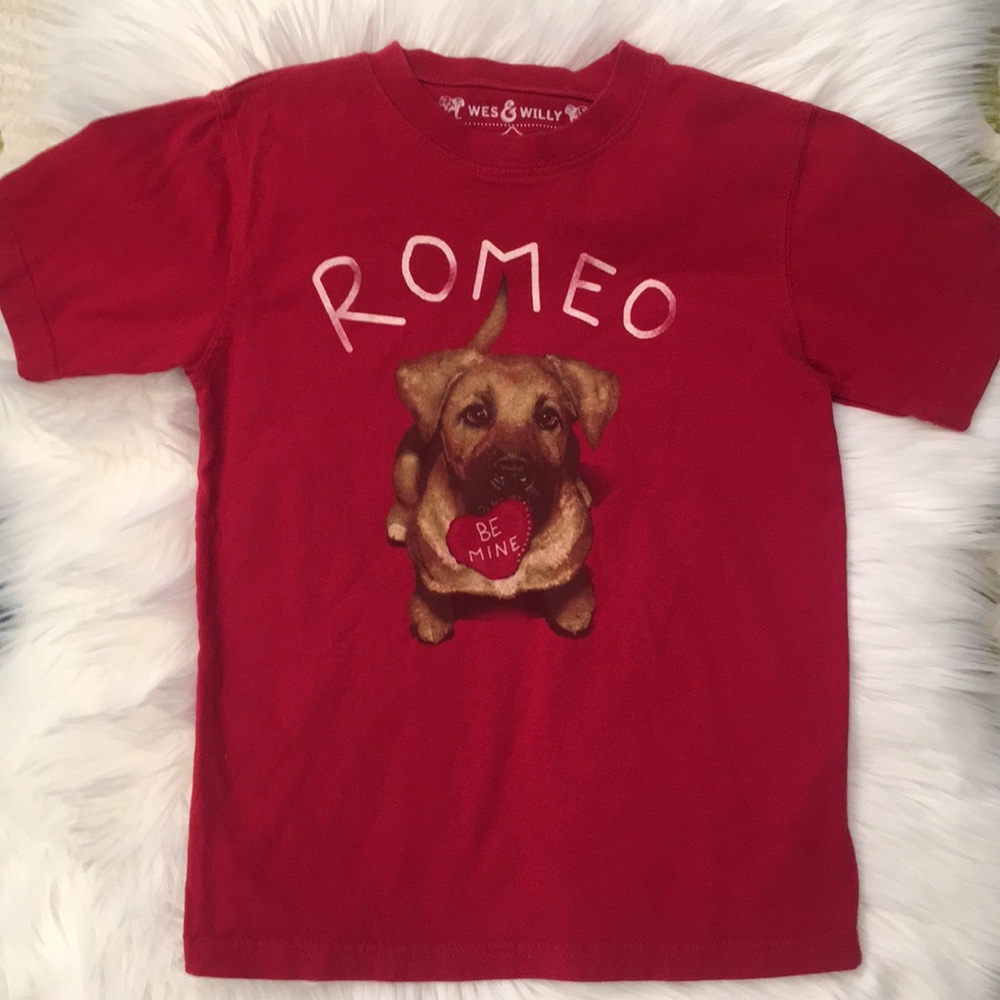 Boys wes & Willy shirt